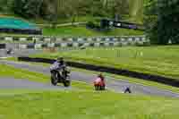 cadwell-no-limits-trackday;cadwell-park;cadwell-park-photographs;cadwell-trackday-photographs;enduro-digital-images;event-digital-images;eventdigitalimages;no-limits-trackdays;peter-wileman-photography;racing-digital-images;trackday-digital-images;trackday-photos